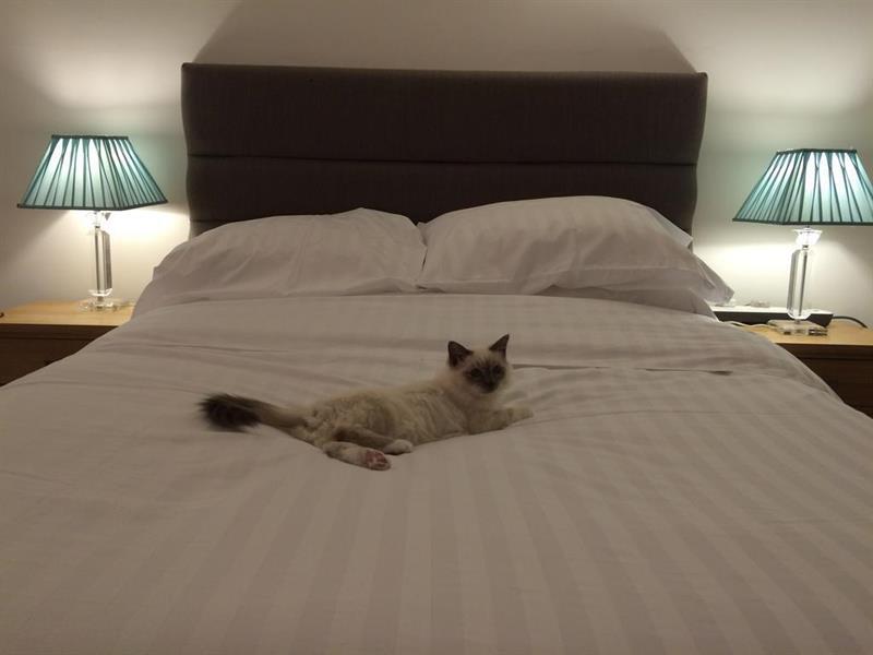 Oyo Oakcroft Guest House Manchester Airport Ringway Luaran gambar